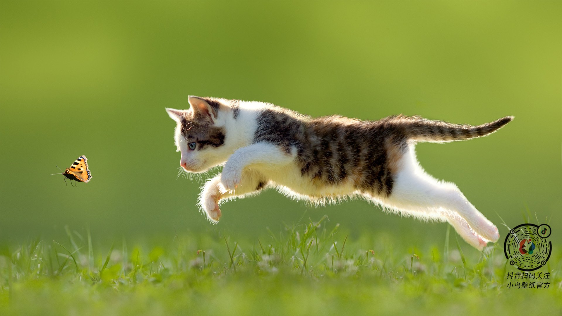 拯救世界排名！德国惊魂压哨球打破卡塔尔铁桶阵