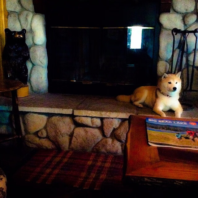 暗面独行,当C罗的奔跑将夜晚镌刻为唯一