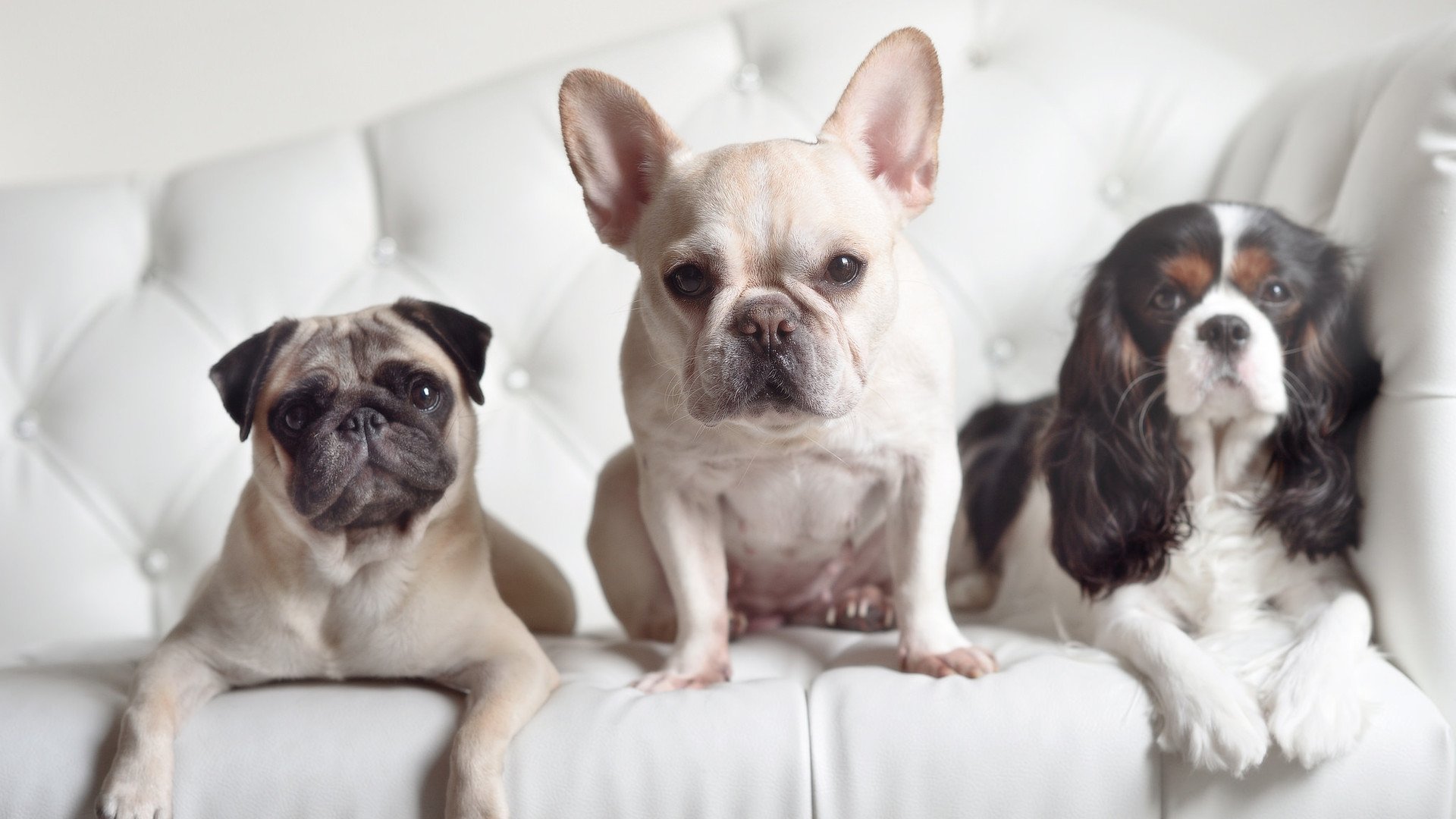 定航之人，富安健洋在奥运前夜接管比赛，毕尔巴鄂轻取切尔西