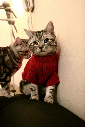 逆境独行，世界杯之夜的破晓之证