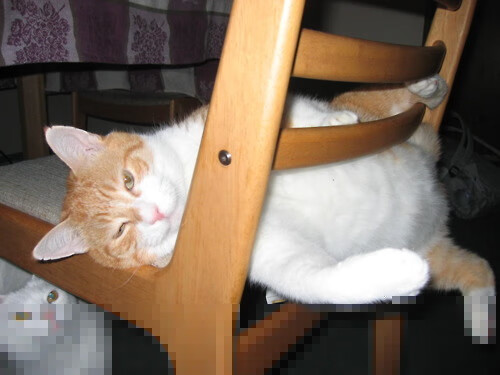 当拉什福德穿越阿兹特克球场，一场拜仁与墨西哥的文明鏖战