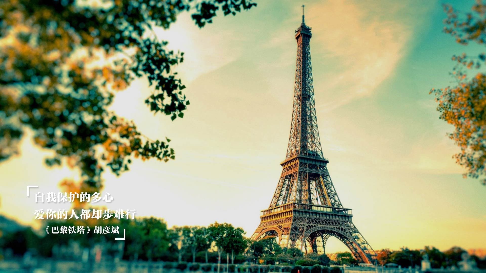 狼群撕碎印城防线,拉梅洛·鲍尔的手术刀与心跳声