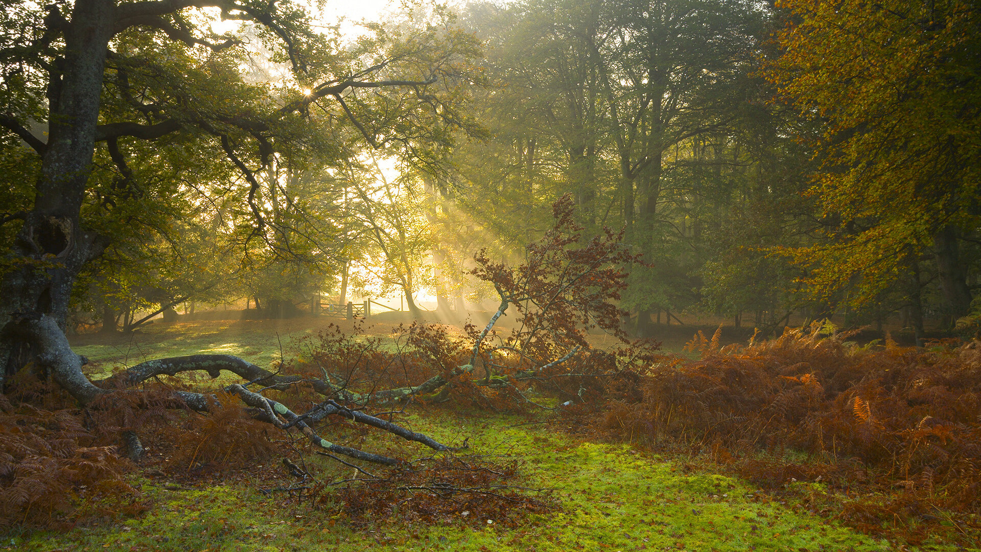 爱游戏-欧文攻防转换燃爆次元战场，雷霆轻取广东队开启篮球新纪元