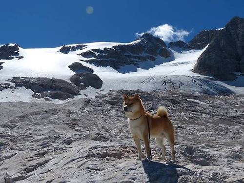 爱游戏在线-沙特金元收割塞维利亚，赖斯如何成为今夏转会市场的关键先生