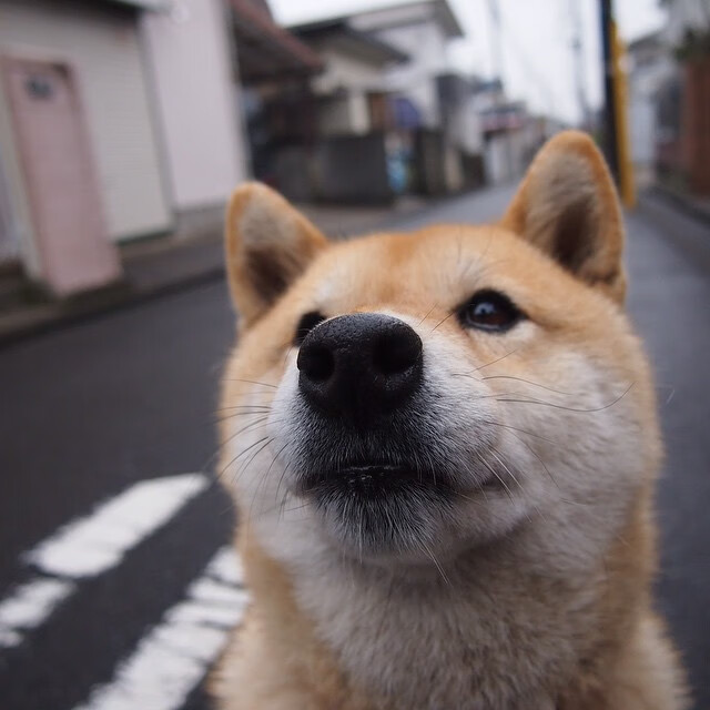 爱游戏官方-詹姆斯的攻防艺术，浙江对阵山西的转换核心之战