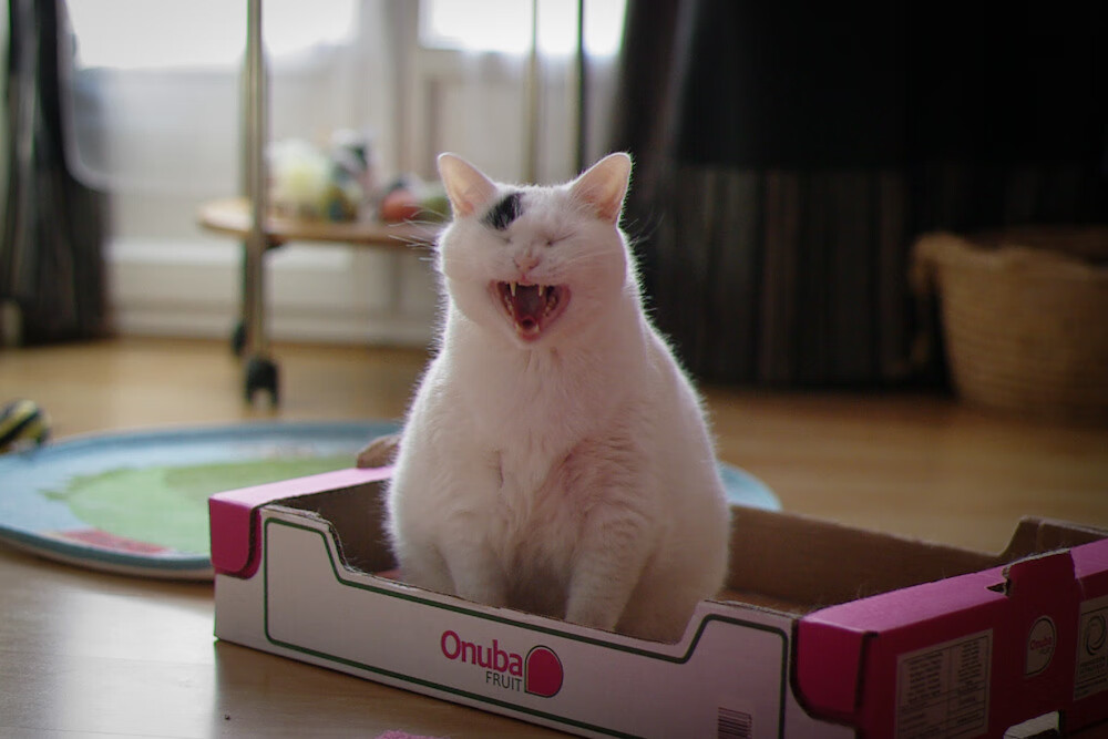 C罗千里驰援！几内亚友谊赛爆冷击溃土耳其，绝杀助攻点燃西非奇迹