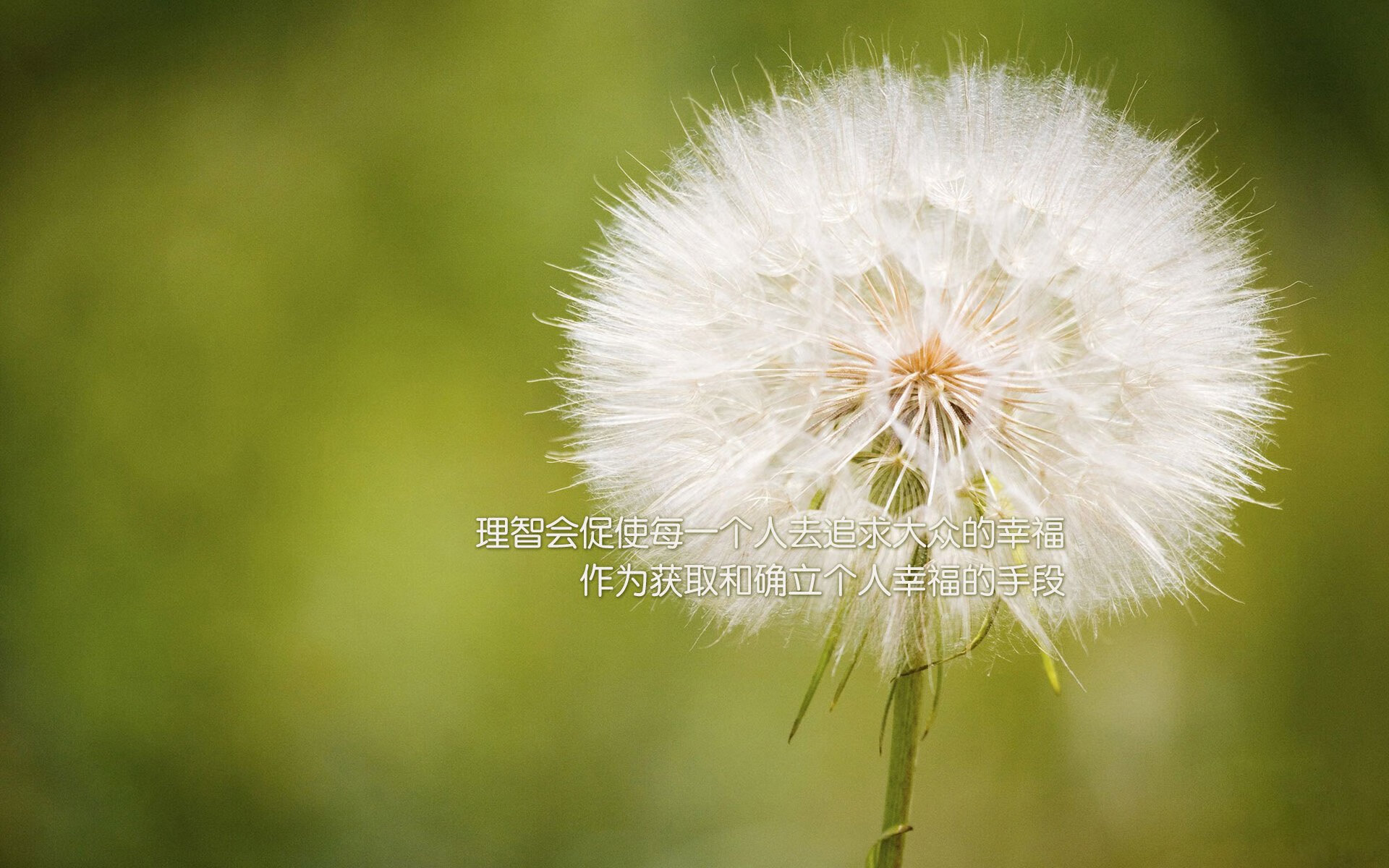 宿命对决,厄瓜多尔的山鹰之翼与葡萄牙航海家的最后一舞,阿诺德的右路风暴