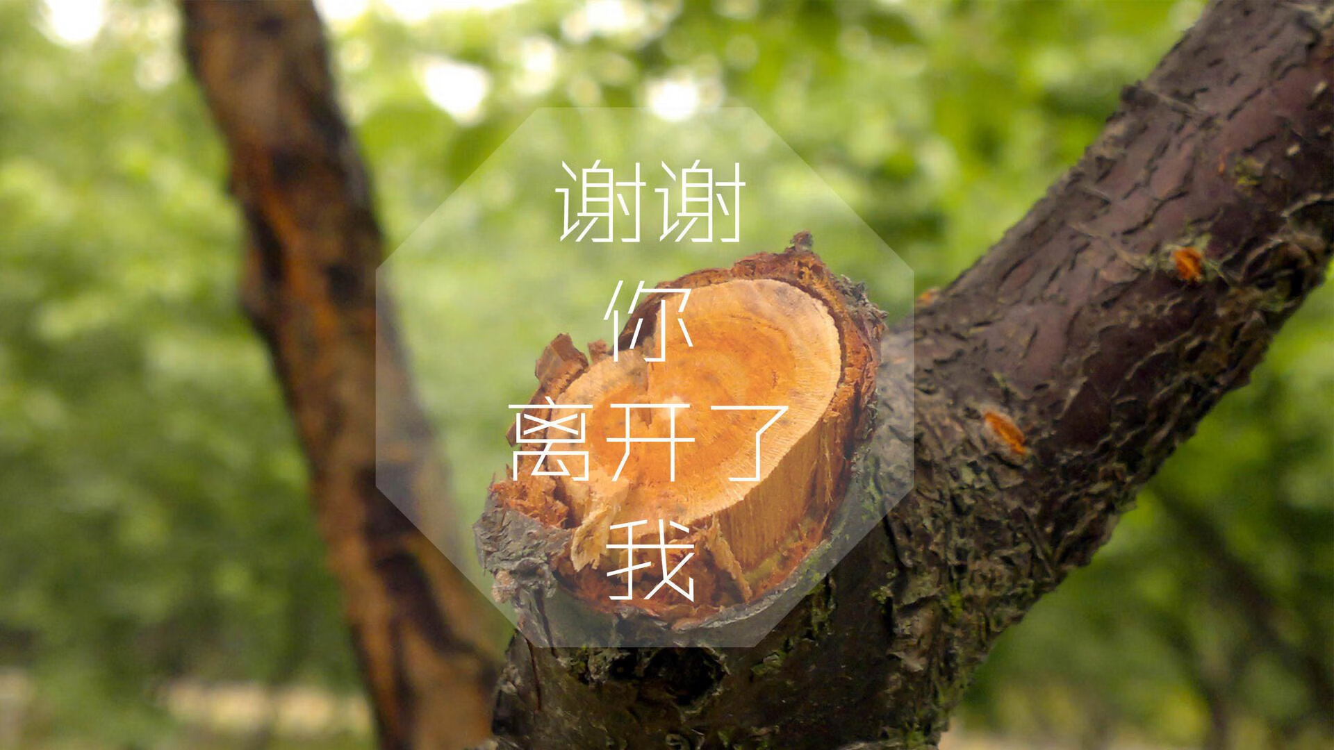 奇迹之夜，2026世界杯G组，印度绝杀挪威，卢卡库完成致命一击