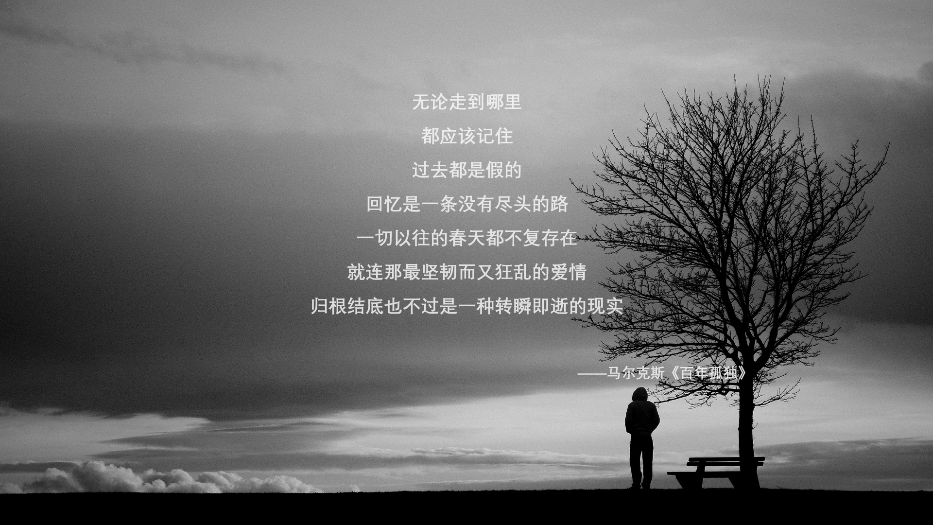 爱游戏大厅-逆光之盾与利刃，当孙兴慜撕裂桑巴防线，伊朗门神却让整个星球屏息